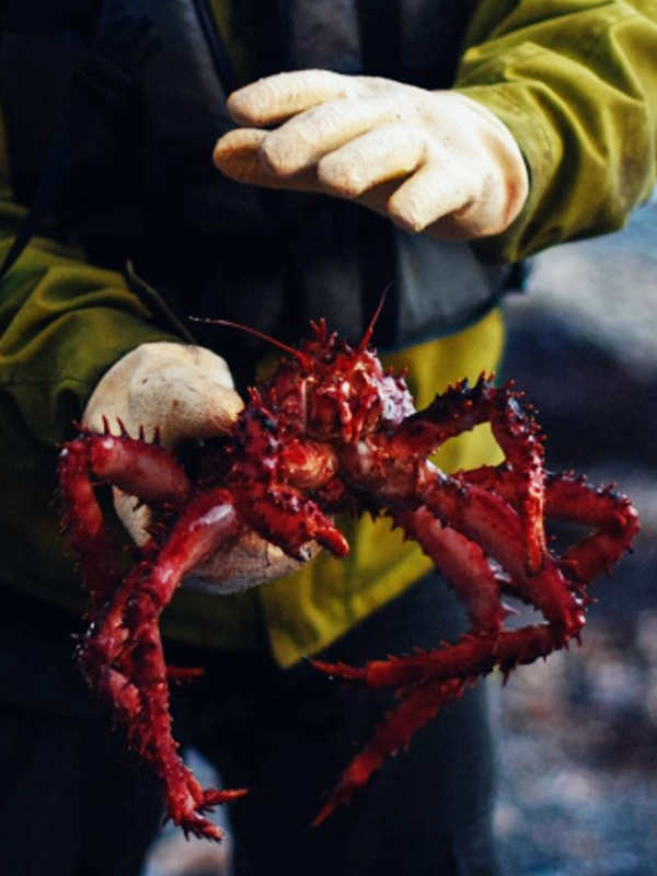 viajes en velero kasr en canal beagle tierra del fuego expediciones y aventura